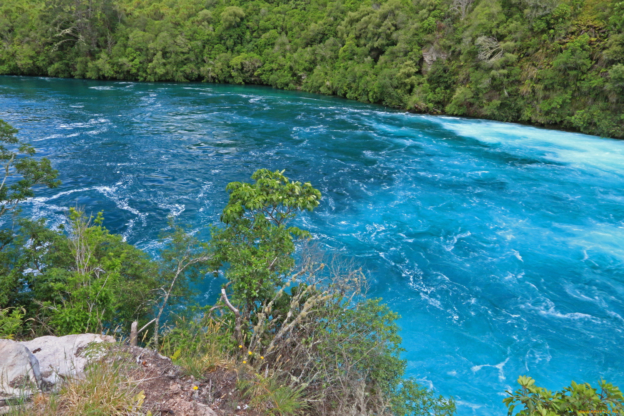 Голубая река. Блу Ривер река. Река Вайкато в новой Зеландии. Река Новозеландия. Голубое озеро новая Зеландия.